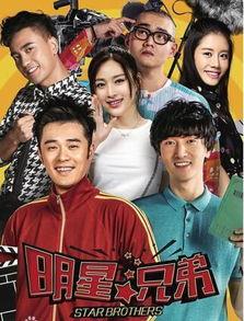 明星兄弟电视剧,梦想与现实的交织