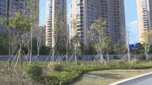 乐清市网红清清,魅力四溢的青春风采