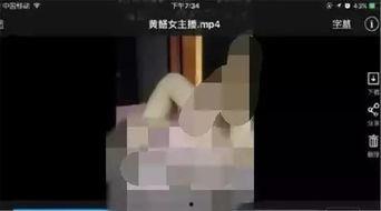 女主播日黄鳝完整视频,黄鳝惊魂幕后揭秘