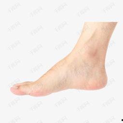 左脚图片,探寻人体平衡的艺术